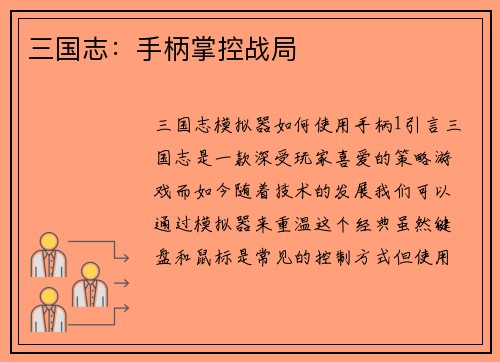三国志：手柄掌控战局